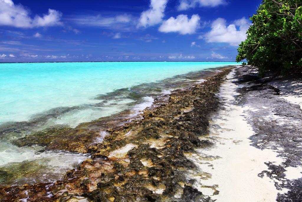 Holiday Cottage Thoddoo, Maldives Eksteriør bilde