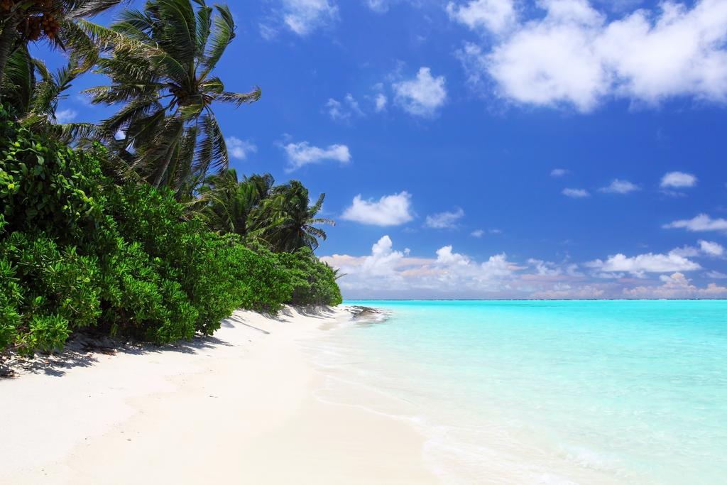 Holiday Cottage Thoddoo, Maldives Eksteriør bilde