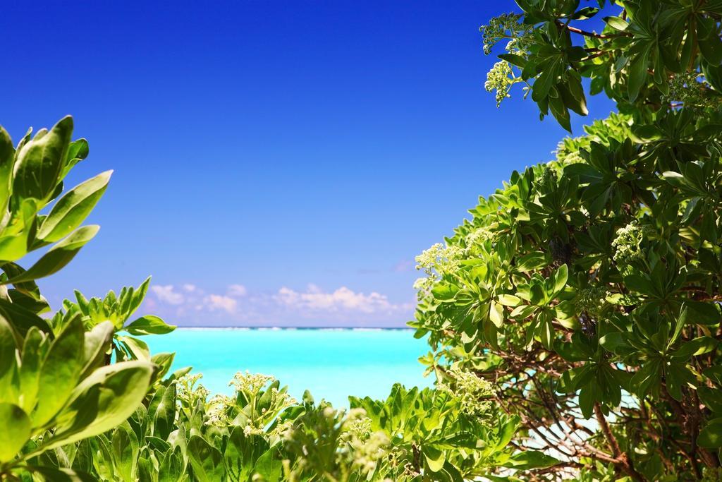 Holiday Cottage Thoddoo, Maldives Eksteriør bilde